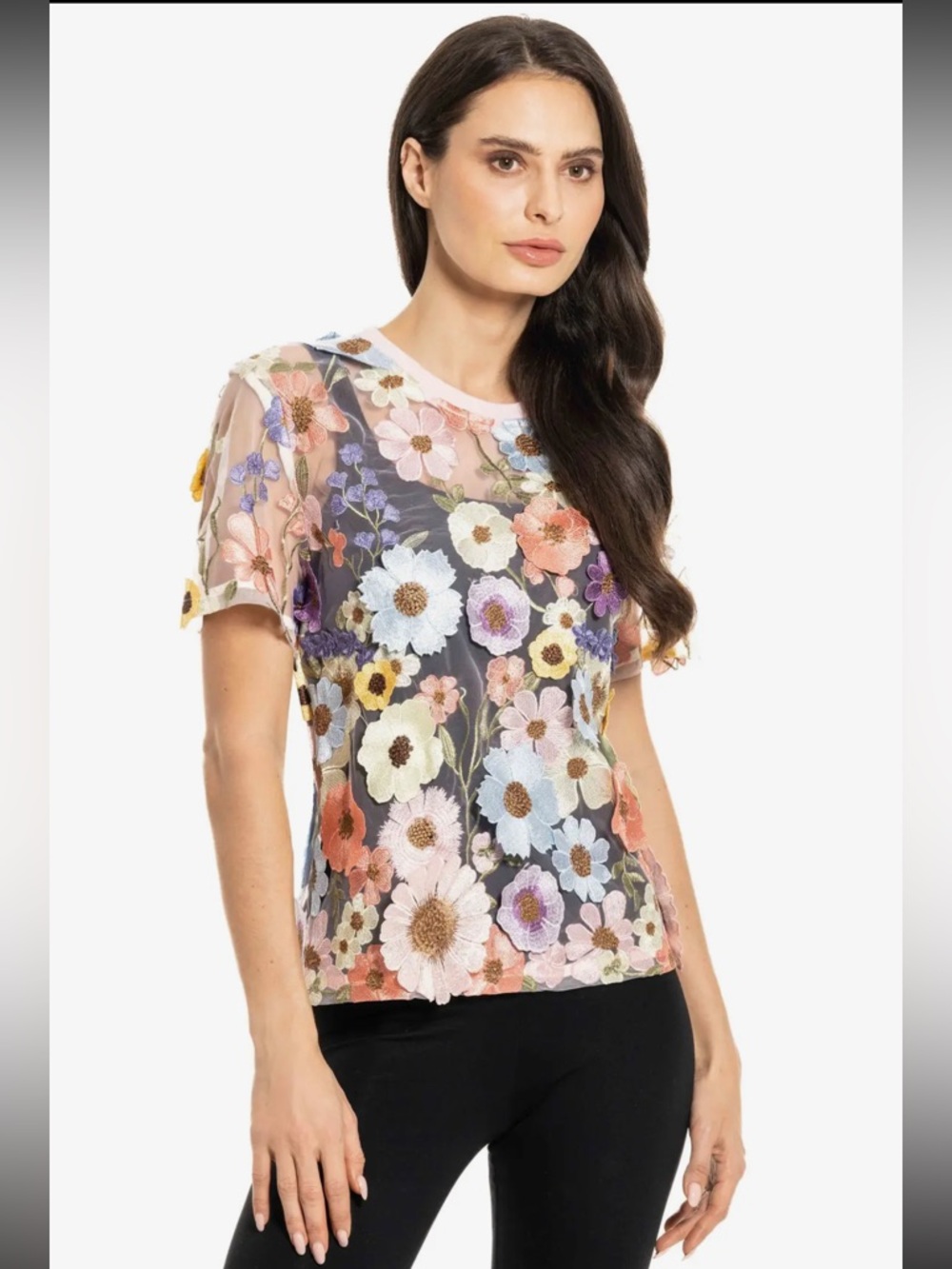 Pink Adore Multi-Color Floral Embroidered Sheer Short Sleeve Top